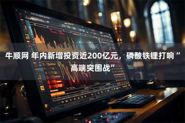 牛顺网 年内新增投资近200亿元，磷酸铁锂打响“高端突围战”