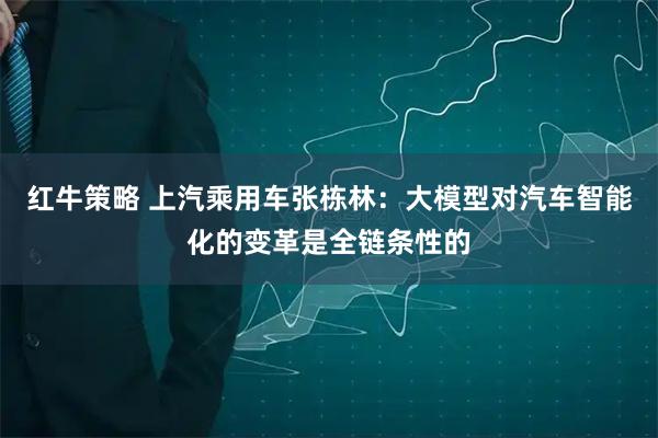 红牛策略 上汽乘用车张栋林：大模型对汽车智能化的变革是全链条性的