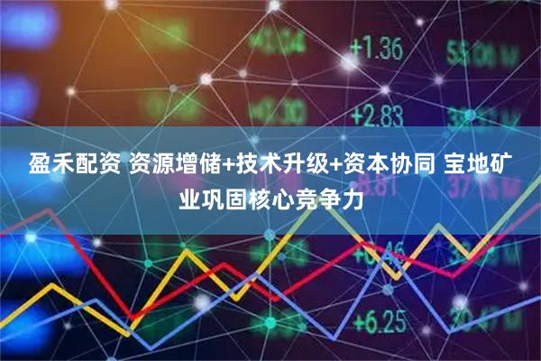 盈禾配资 资源增储+技术升级+资本协同 宝地矿业巩固核心竞争力