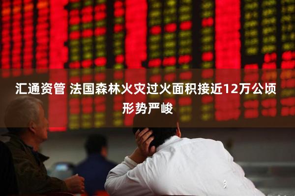 汇通资管 法国森林火灾过火面积接近12万公顷 形势严峻